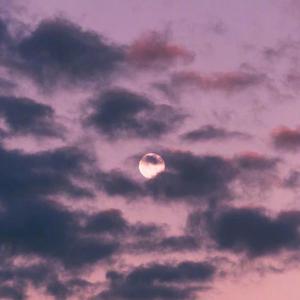 美女走光露出乳头被挤奶网站
